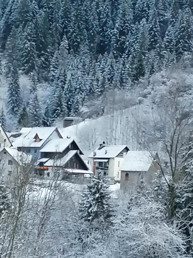 Отель La Casa Del Popolo Prato Carnico Экстерьер фото